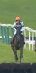 Called horse 626