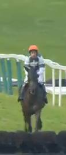 Called horse 626