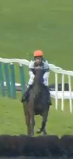 Called horse 626