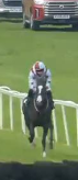 Called horse 625