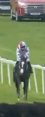 Called horse 625