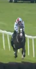 Called horse 625