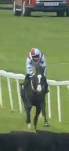 Called horse 625