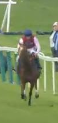 Called horse 627