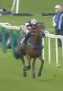 Called horse 632