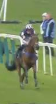 Called horse 632