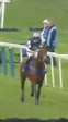Called horse 632
